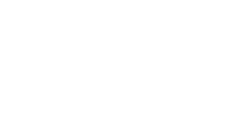 bosen group logo